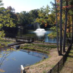 dcim101mediadji 0049.jpg